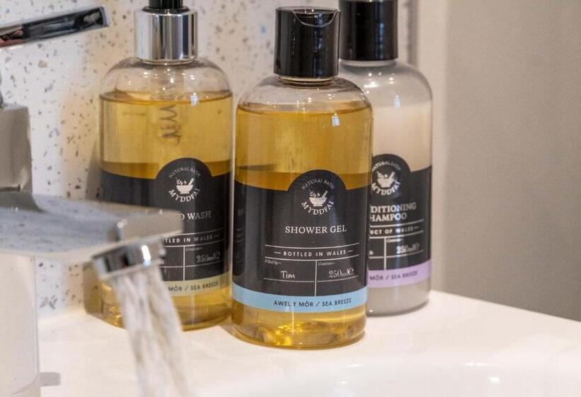 带大床的标准间, Awel Y Mor