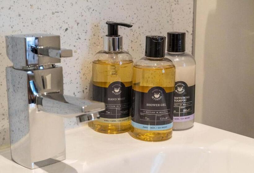 带大床的标准间, Awel Y Mor