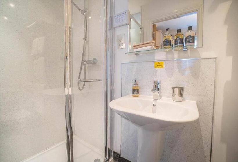 带大床的标准间, Awel Y Mor