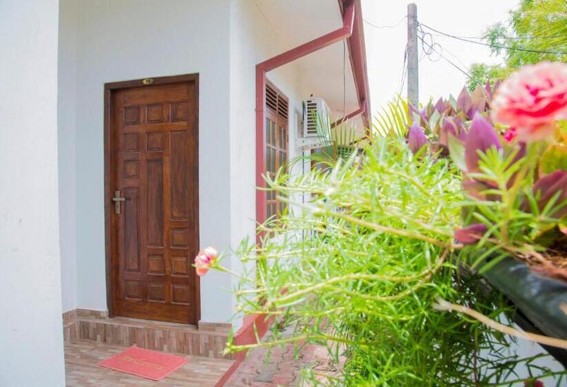 패밀리 룸, Aa Inn