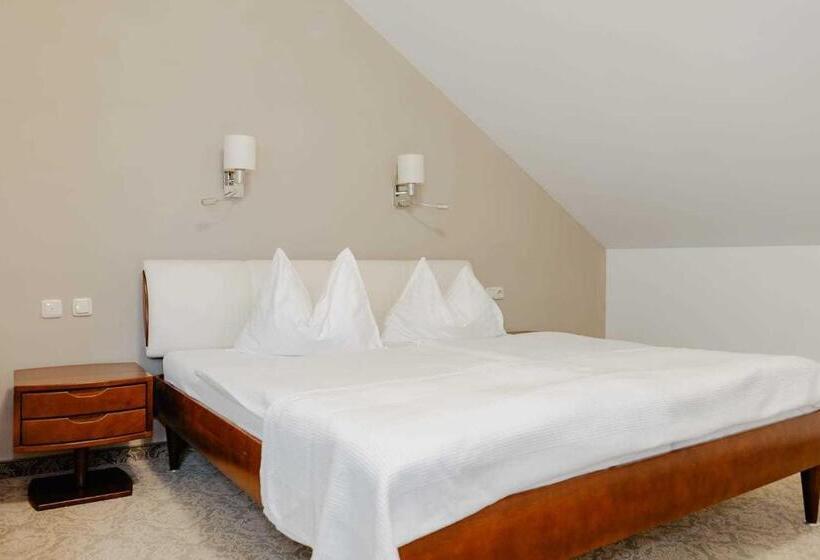 Standart Oda, Hammer