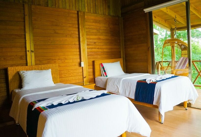 スタンダードルーム, Winika Habitat