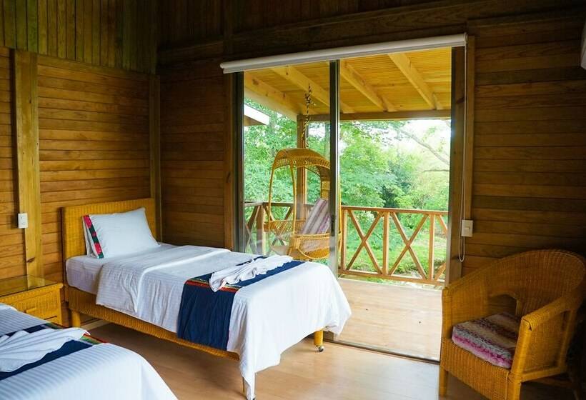 スタンダードルーム, Winika Habitat