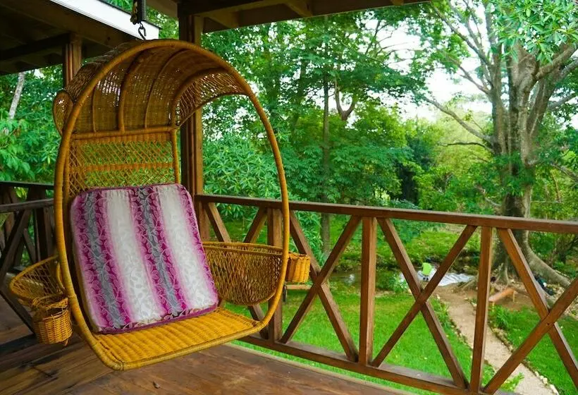 اتاق استاندارد, Winika Habitat