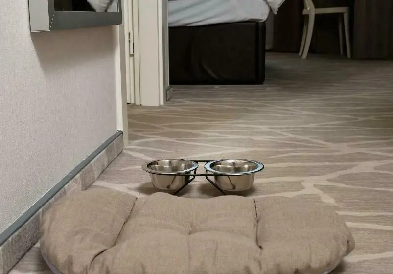 Premium room with view, Radisson Hotel City Centre Odesa