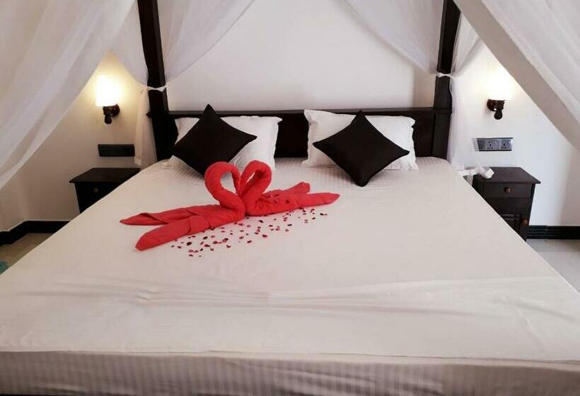 스탠다드 룸, Turtle Reef Guest