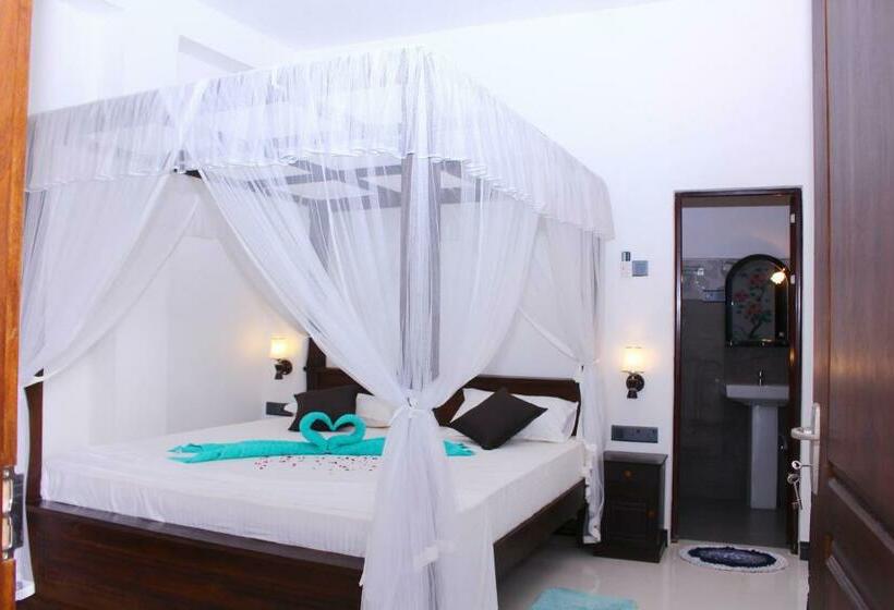 Номер Стандарт, Turtle Reef Guest