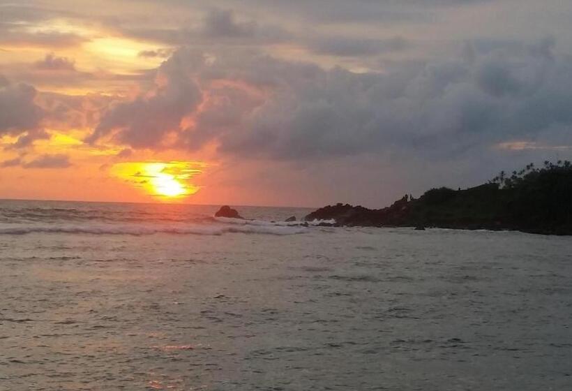 이코노미 룸, Turtle Reef Guest