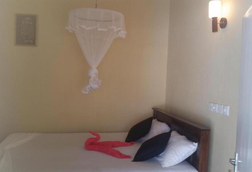 이코노미 룸, Turtle Reef Guest