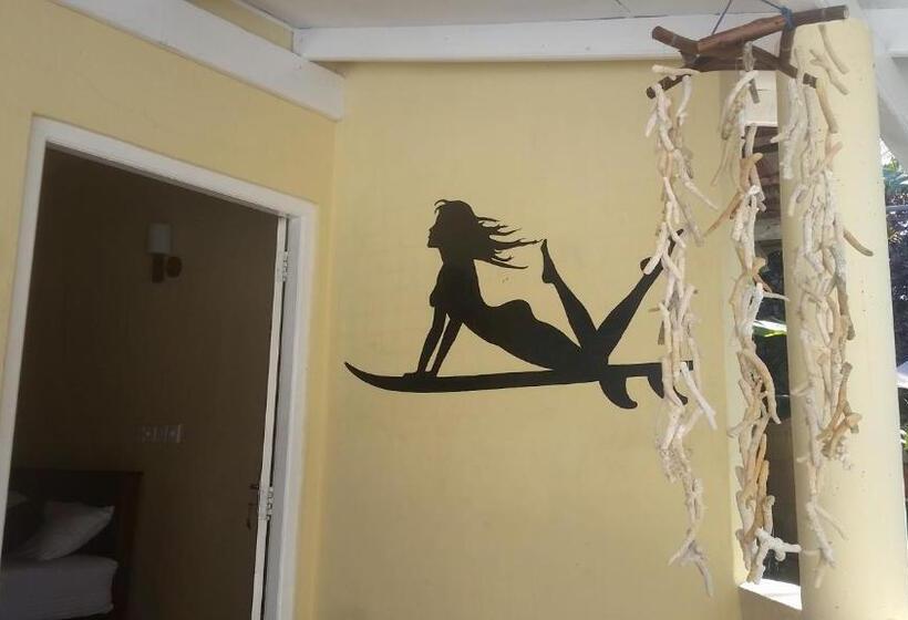 이코노미 룸, Turtle Reef Guest