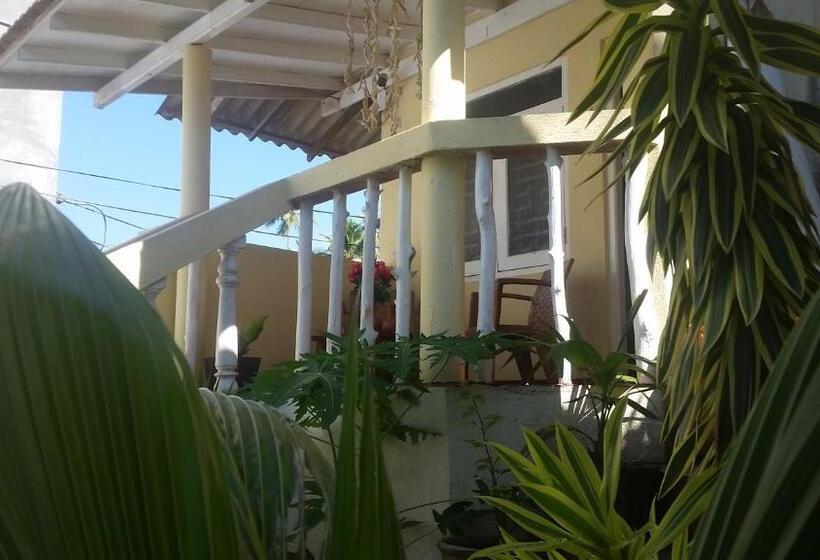 이코노미 룸, Turtle Reef Guest