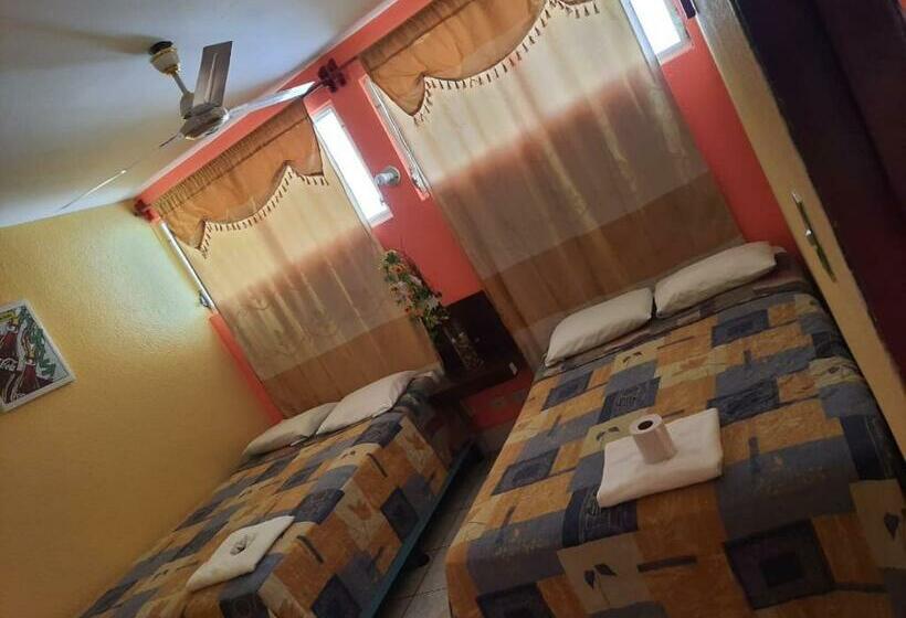 اتاق اکونومی, Green Monkey Hostel