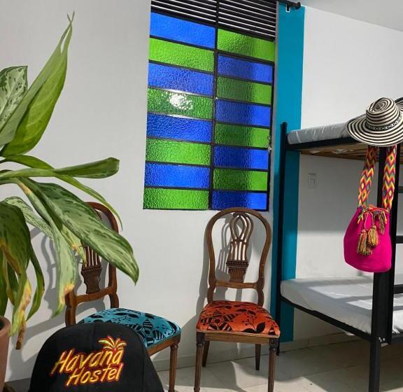 家庭间, Havana Hostel Cali & Dance School