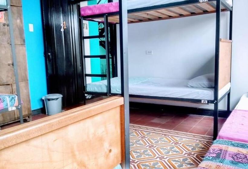 ルームシェアのワンベッド, Havana Hostel Cali & Dance School