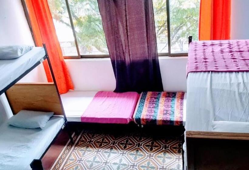 共用房间的床, Havana Hostel Cali & Dance School