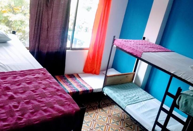 Кровать в Общей Комнате, Havana Hostel Cali & Dance School