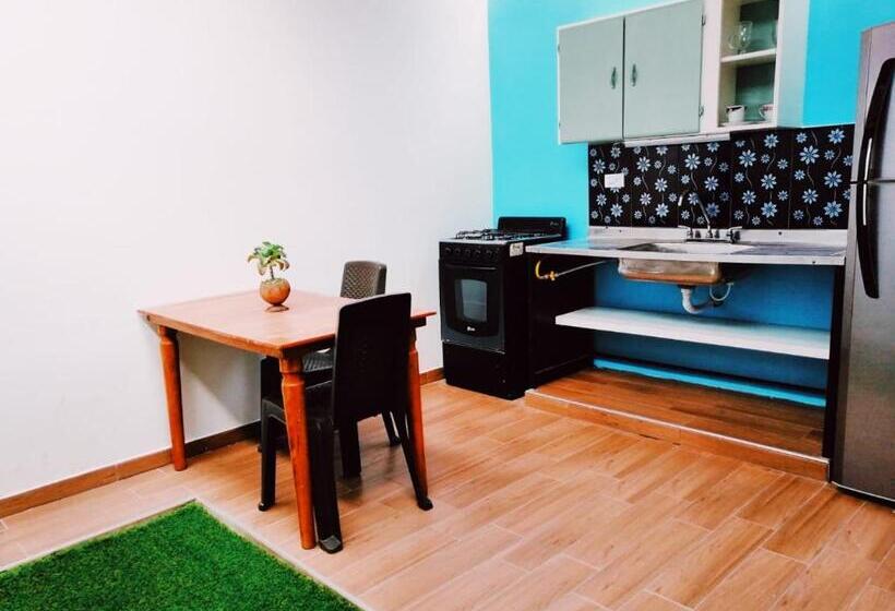 标准房带园景, Havana Hostel Cali & Dance School