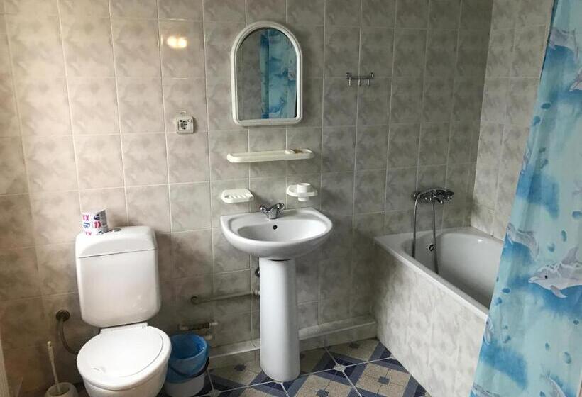 스탠다드 싱글 룸, Zhovtnevyi