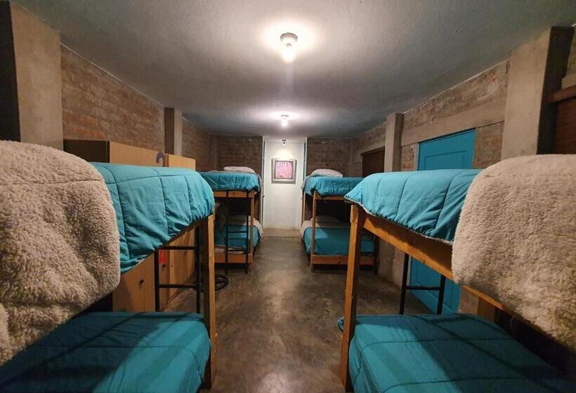 سرير فى غرفة مشتركه, The Upcycled Hostel Huacachina