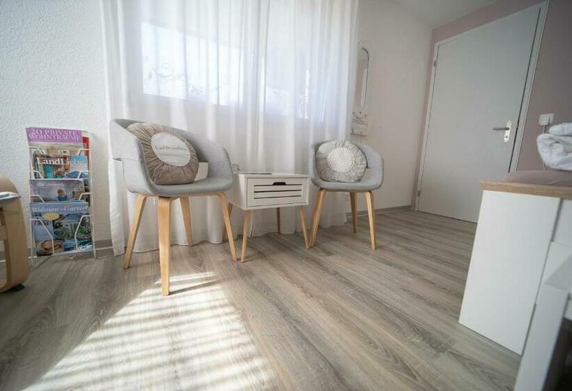 Студия Стандарт, Studio Living..