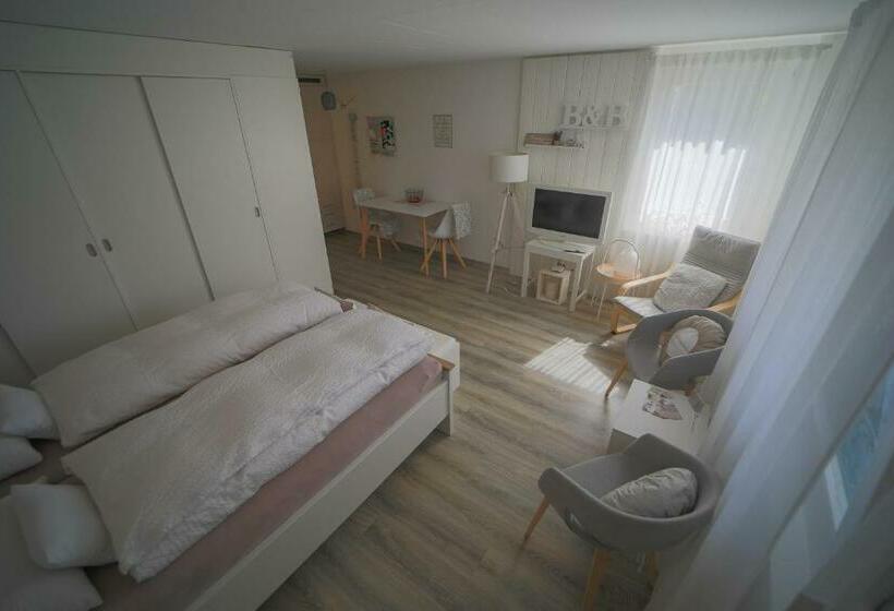 Студия Стандарт, Studio Living..