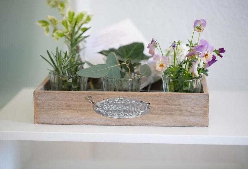 חדר סטודיו סטנדרד, Studio Living..