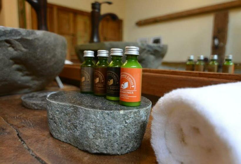 스탠다드 룸 킹사이즈 침대, Desa Alamanis Resort Villa