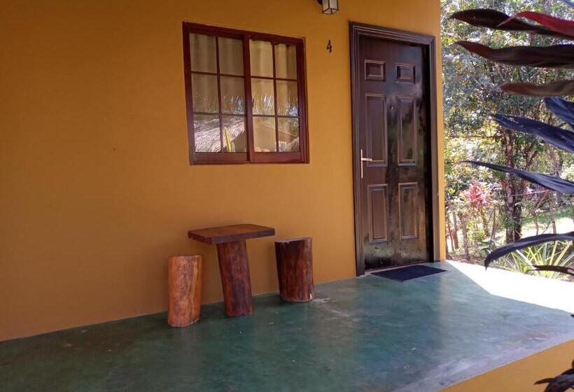 Estúdio standard com Terraço, Las Hamacas