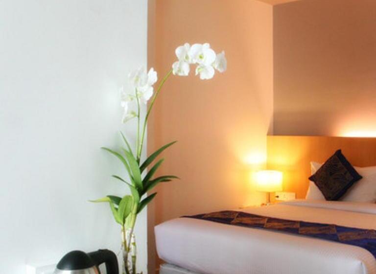 اتاق لوکس یک تخته, Wyne