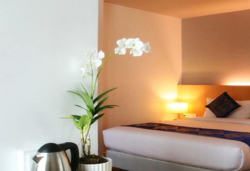 اتاق لوکس, Wyne