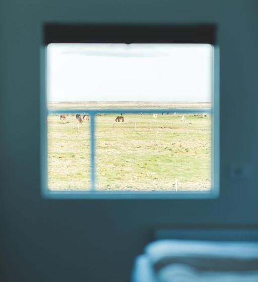 اتاق خانوادگی, Midgard Base Camp