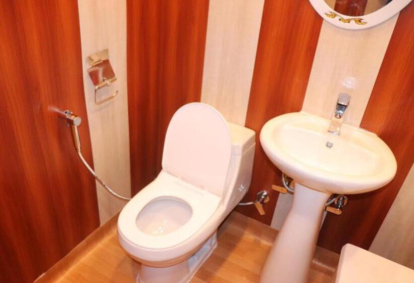 豪华房间, House Boat New Pala Palace