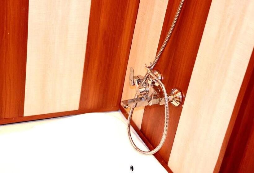 豪华房间, House Boat New Pala Palace