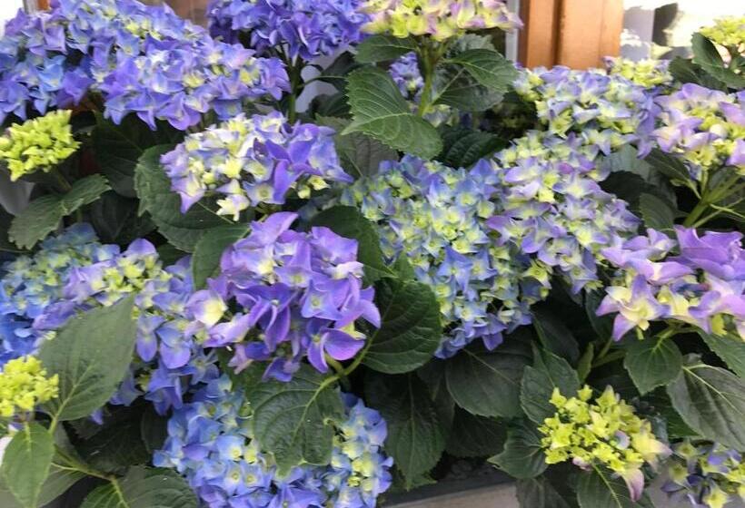 اتاق استاندارد با چشم‌انداز باغ, Residenza Ambrogi