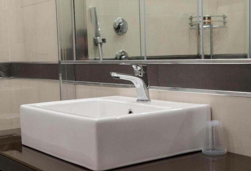 Номер Стандарт Вид на Сад, Archeo