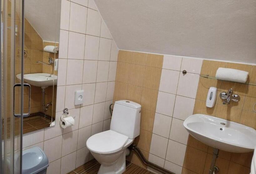 Standard Szoba, Boršičanka