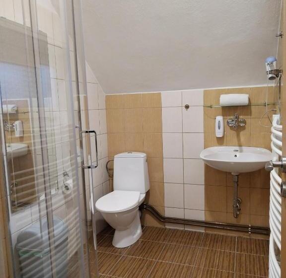 Standard Szoba, Boršičanka