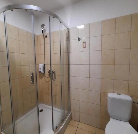 Standard Szoba, Boršičanka