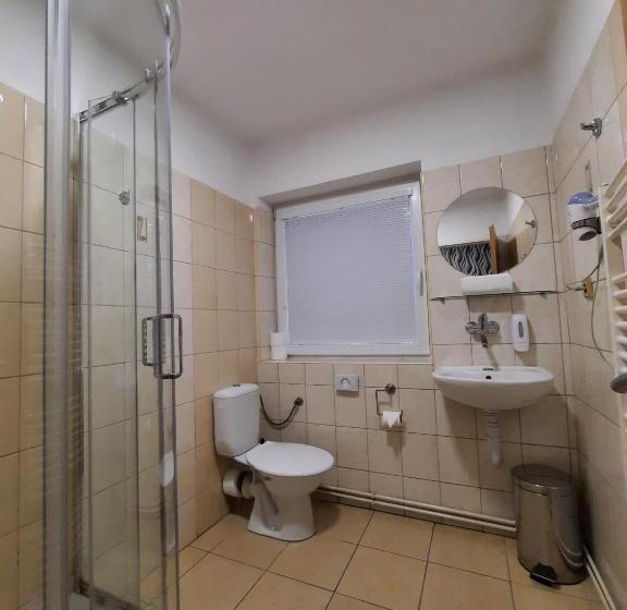 Standard Szoba, Boršičanka