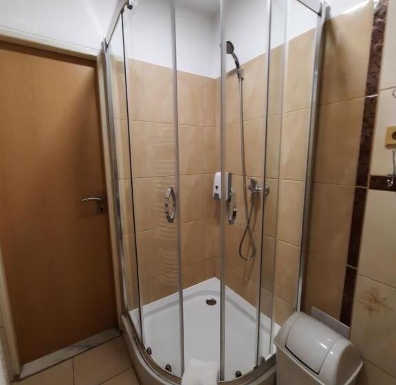 Standard Szoba, Boršičanka