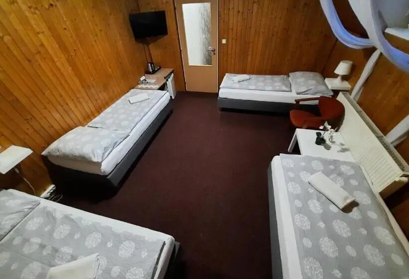 Standard Neljän Hengen Huone, Boršičanka