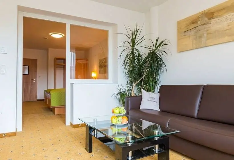 コンフォートルーム, Der Trattner   Hotel Schöcklblick