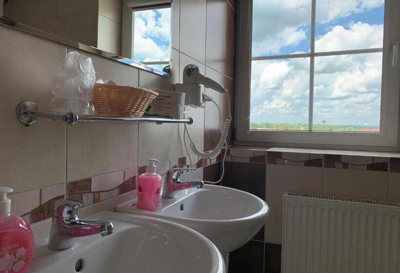 １ベッドルームのデラックスアパートメント, Kameleon