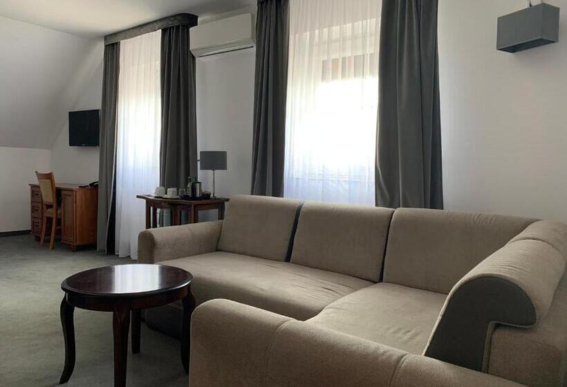 １ベッドルームのデラックスアパートメント, Kameleon