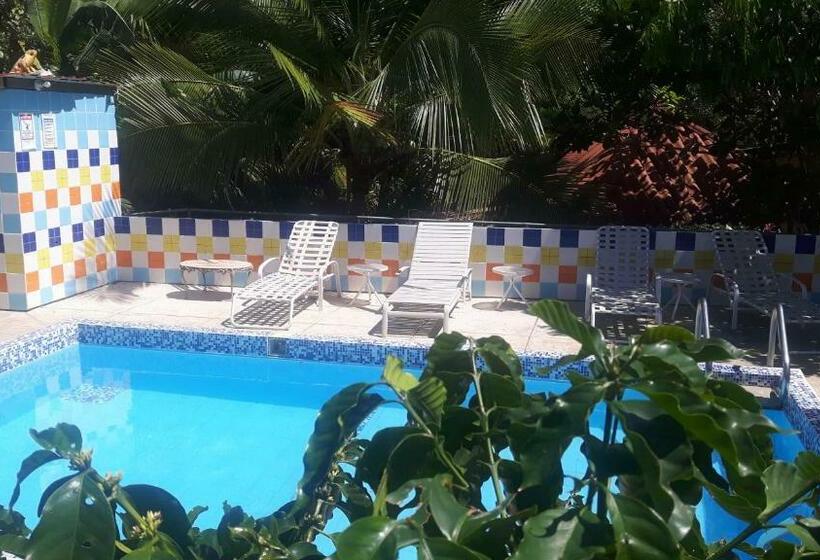 标准间, Rainforest Yasmin