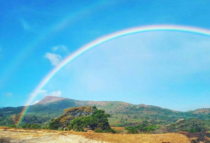 三人经典房间, Rainforest Yasmin