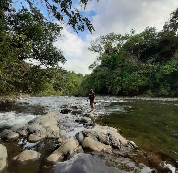 三人经典房间, Rainforest Yasmin