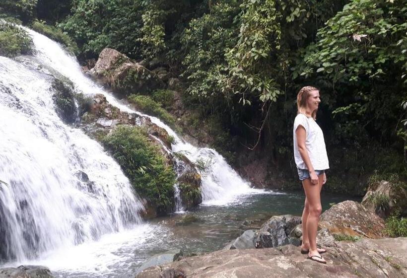 家庭间, Rainforest Yasmin