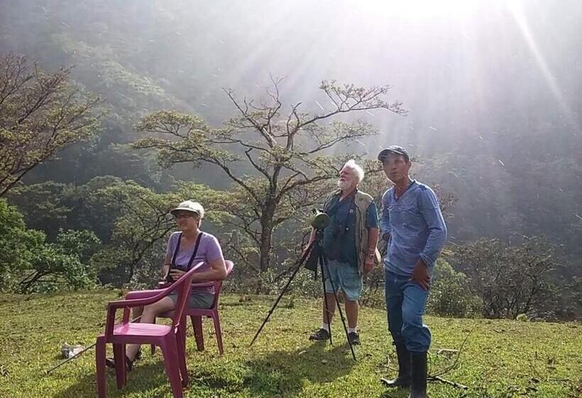 经典四人房间, Rainforest Yasmin