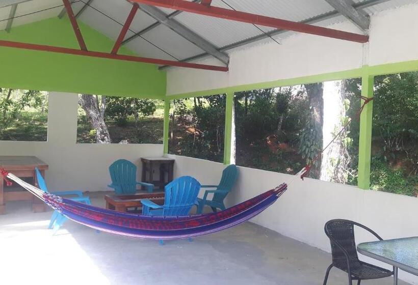 经典四人房间, Rainforest Yasmin